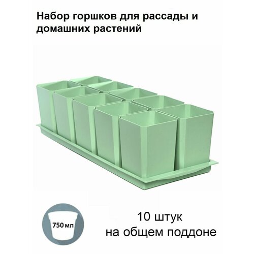 фото Горшки для рассады и цветов, горшок для цветов - 10 шт по 750 мл на общем поддоне, мятный пеликан