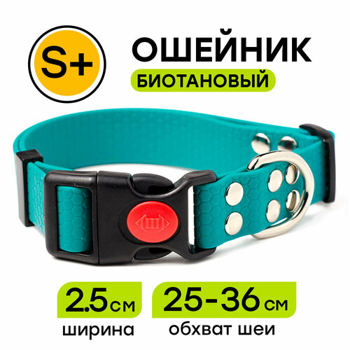 Ошейник из биотана 25-36 см (S+), 25 мм, Woofy "Geksa" водостойкий, бирюзовый