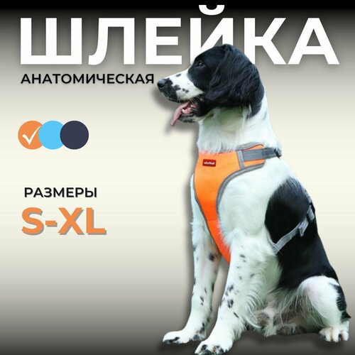 Шлейка для собак, размер S, оранжевый