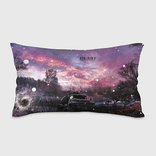 STALKER 2 зима в зоне Прямоугольная подушка