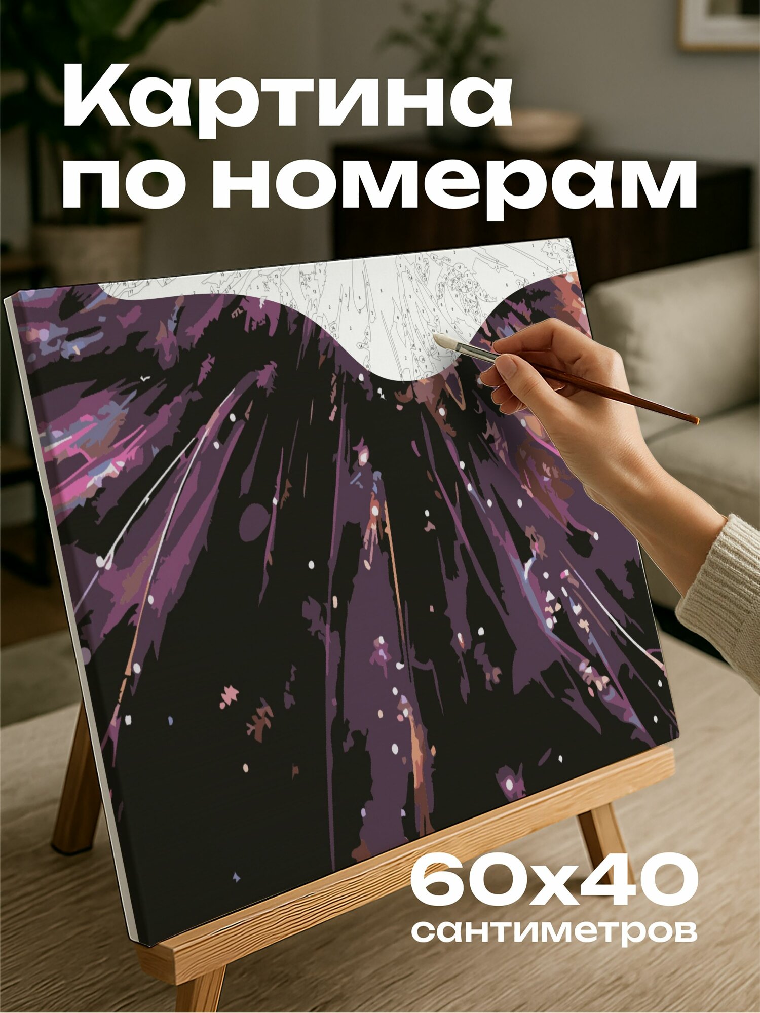 Картина по номерам 60x40 см, Сказочный костюм, принцесса, тюль, вышивка, тиара, очарование, фантазия, слои