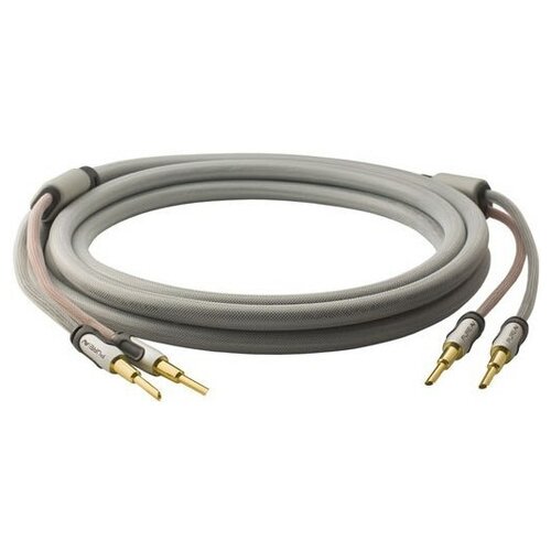 GoldKabel Pure AV By Belkin Silver Line (4,9m)