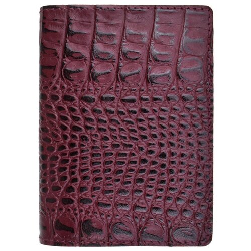 Обложка для паспорта A.Valentino, бордовый