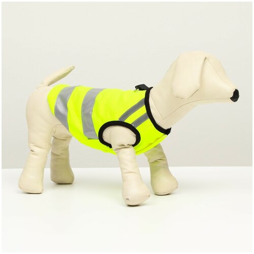 фото Светоотражающий жилет для собак, размер 8 (дс 23 см, ог 30 см, ош 22 см), жёлтый сима-ленд