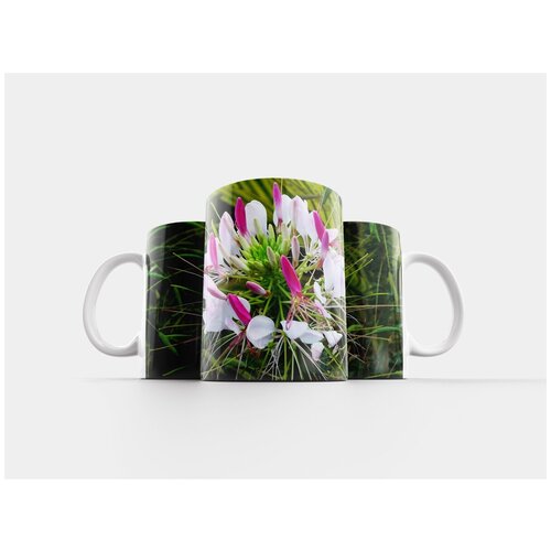 фото Кружка "природа, цветок, kleome" 320 мл lotsprints
