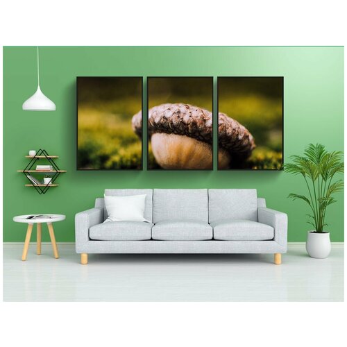 фото Набор модулных постеров для интерьера "желудь, макрос, закрытие" 60x90 см. в тубусе, без рамки lotsprints
