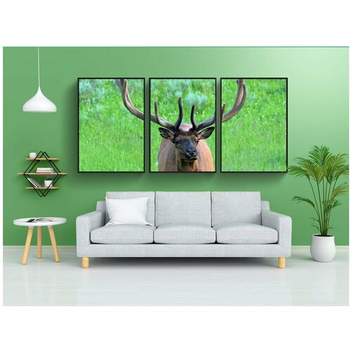 фото Набор модулных постеров для интерьера "лось, олень, животное" 60x90 см. в тубусе, без рамки lotsprints