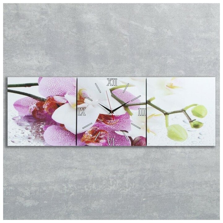 Часы настенные, модульные, серия: Цветы, "Орхидеи", 35х110 см 2044998