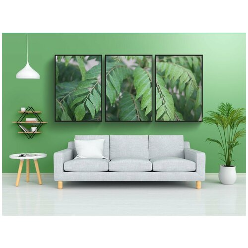 фото Набор модулных постеров для интерьера "kadipatta, карри листья, murraya koenigii" 60x90 см. в тубусе, без рамки lotsprints