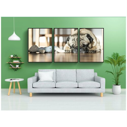 фото Набор модулных постеров для интерьера "собака, спать, домашний питомец" 60x90 см. в тубусе, без рамки lotsprints