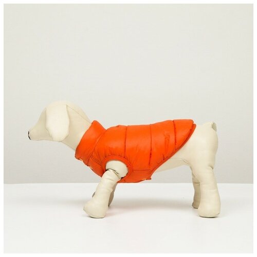 Куртка для собак двухсторонняя с принтом, размер 12 (ДС 28,ОГ 38,ОШ 27 см),коралловая