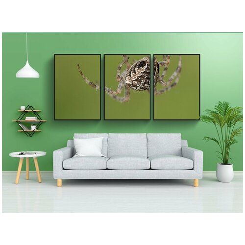 фото Набор модулных постеров для интерьера "араней, паук, сеть" 60x90 см. в тубусе, без рамки lotsprints