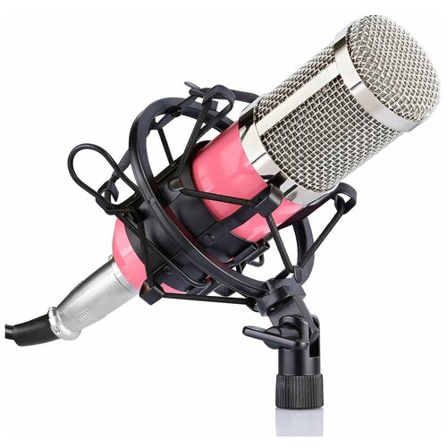 FZONE BM-800 PK микрофон студийный 190000₽