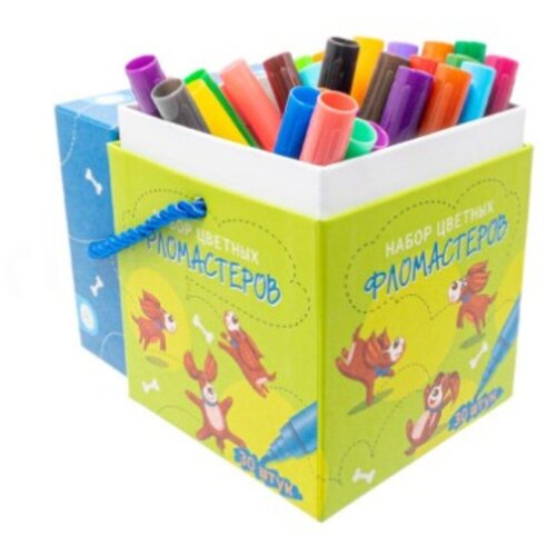 Набор фломасетров 30 цетов в коробке для хранения