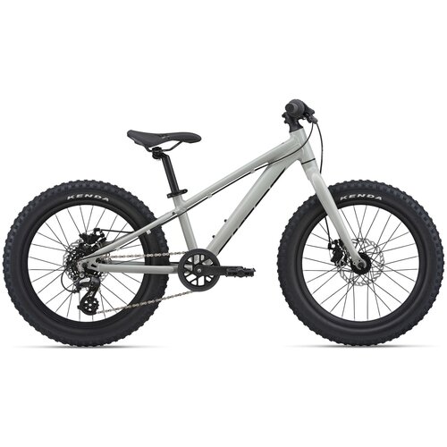 Велосипед детский Giant STP 20-Giant One Size Only Concrete 4399000₽