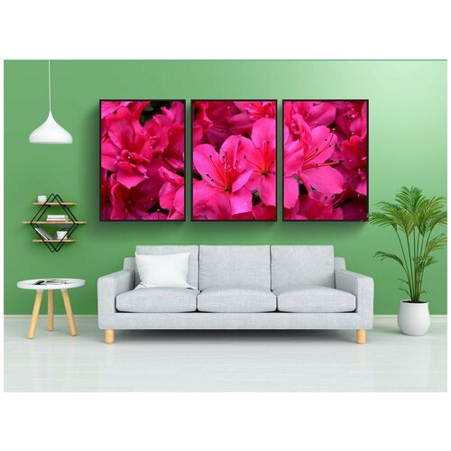 фото Набор модулных постеров для интерьера "цветок, розовый, весна" 60x90 см. в тубусе, без рамки lotsprints