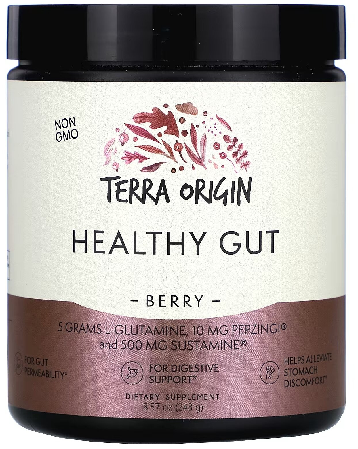 Порошок Terra Origin Healthy Gut