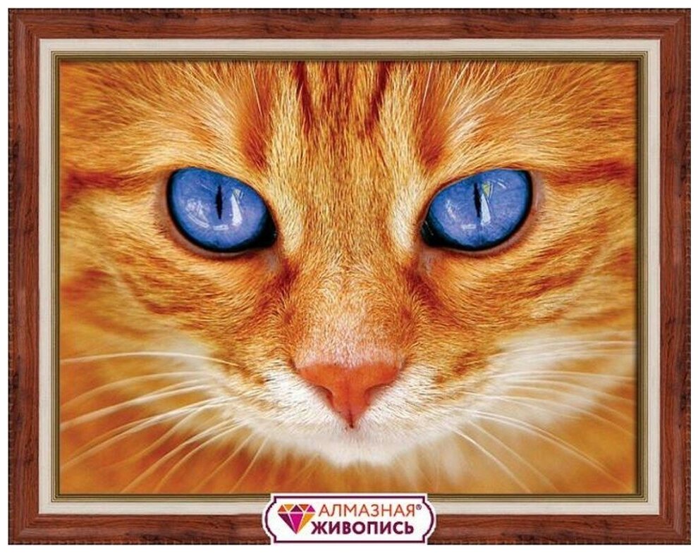 Синеглазый кот #АЖ-1716 Алмазная живопись Набор алмазная мозаика 40 x 30 см