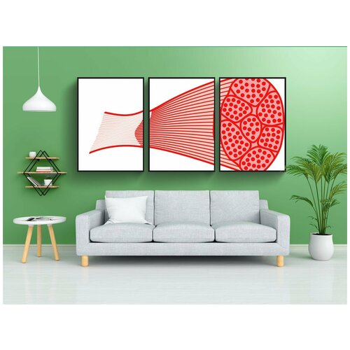 фото Набор модулных постеров для интерьера "мышца, мясо, медицина" 60x90 см. в тубусе, без рамки lotsprints