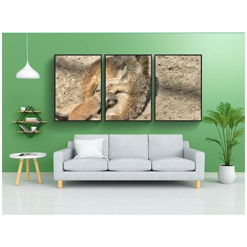 фото Набор модулных постеров для интерьера "сурикат, младенец, кормить грудью" 60x90 см. в тубусе, без рамки lotsprints