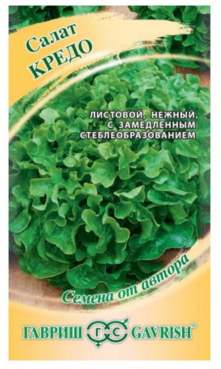 Семена Салат Кредо листовой темно-зеленый Семена от автора 0,5 гр.