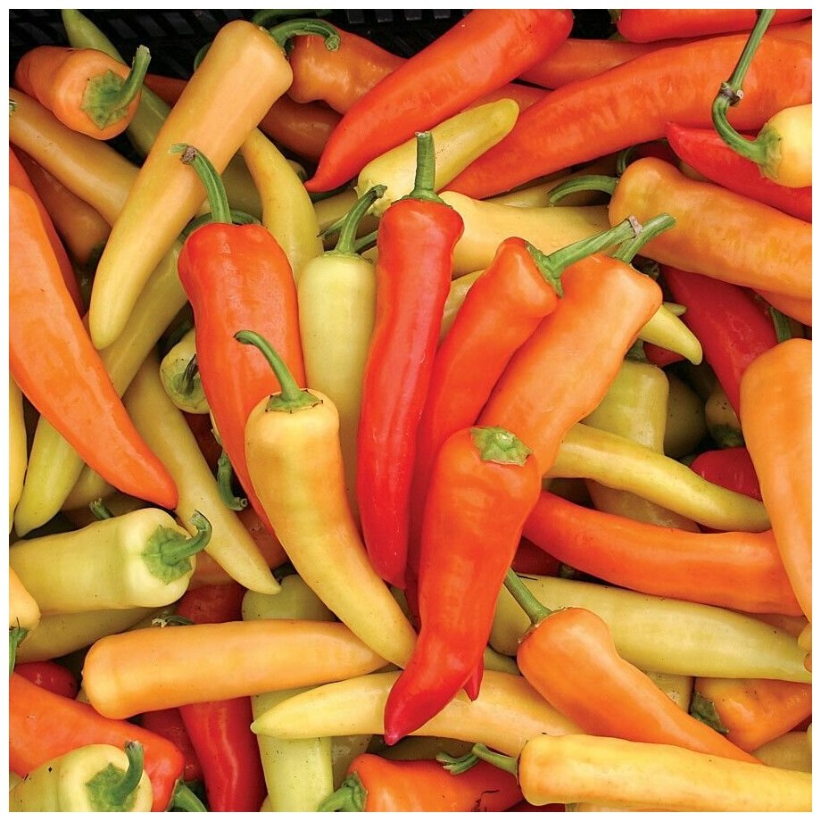 Перец острый Венгерский желтый, семена Седек 0,1г - купить в интернет-магазине с