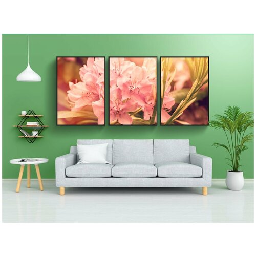 фото Набор модулных постеров для интерьера "цвести, рододендрон, цветок" 60x90 см. в тубусе, без рамки lotsprints