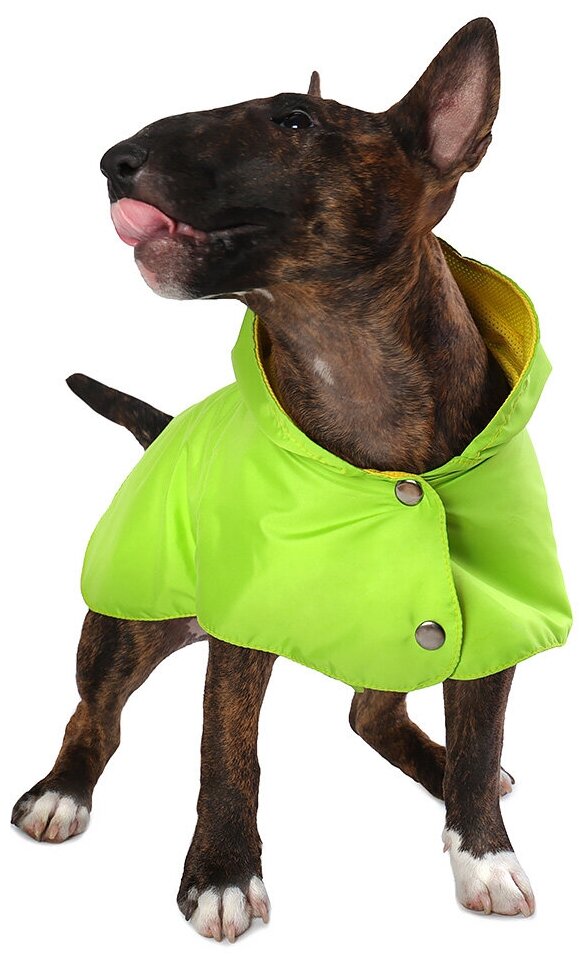 Дождевик для собак Монморанси "Стиль", зеленый, размер М, длина спины 26 см. - фотография № 8