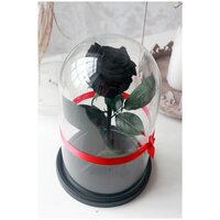Стабилизированная роза в колбе Therosedome Premium 7-8 см, черный
