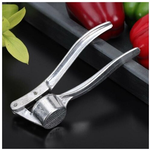 Пресс для чеснока 16 см 427₽