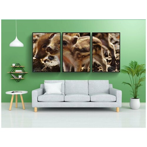 фото Набор модулных постеров для интерьера "дикий кабан, новички, wildpark poing" 60x90 см. в тубусе, без рамки lotsprints