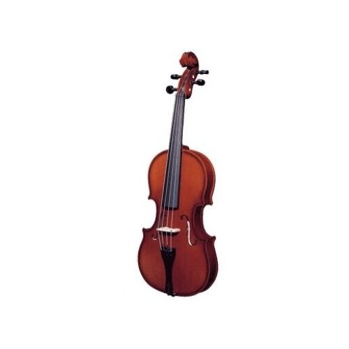 Cervini Hv-100 Novice Violin Outfit - скрипка, размер 1/8, в комплекте, легкий кофр, смычок, канифоль