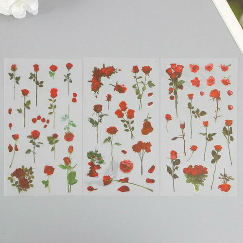 Наклейки пластик Розы набор 6 листов 10х18 см