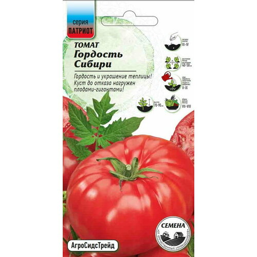Семена овощей томат Гордость Сибири 20 шт. семена томат гордость сибири 20 сем 2 упаковки 2 подарка