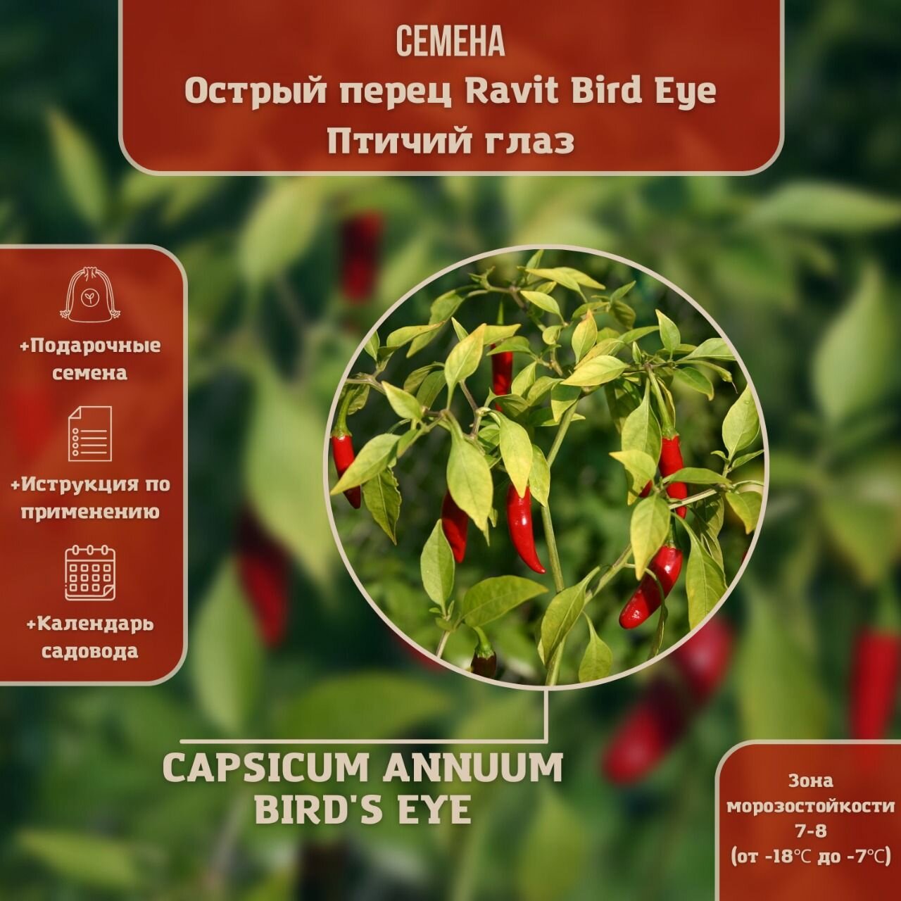 Перец острый Ravit Bird Eye - Птичий глаз (лат. Capsicum annuum Bird's Eye) семена 15шт + подарочек