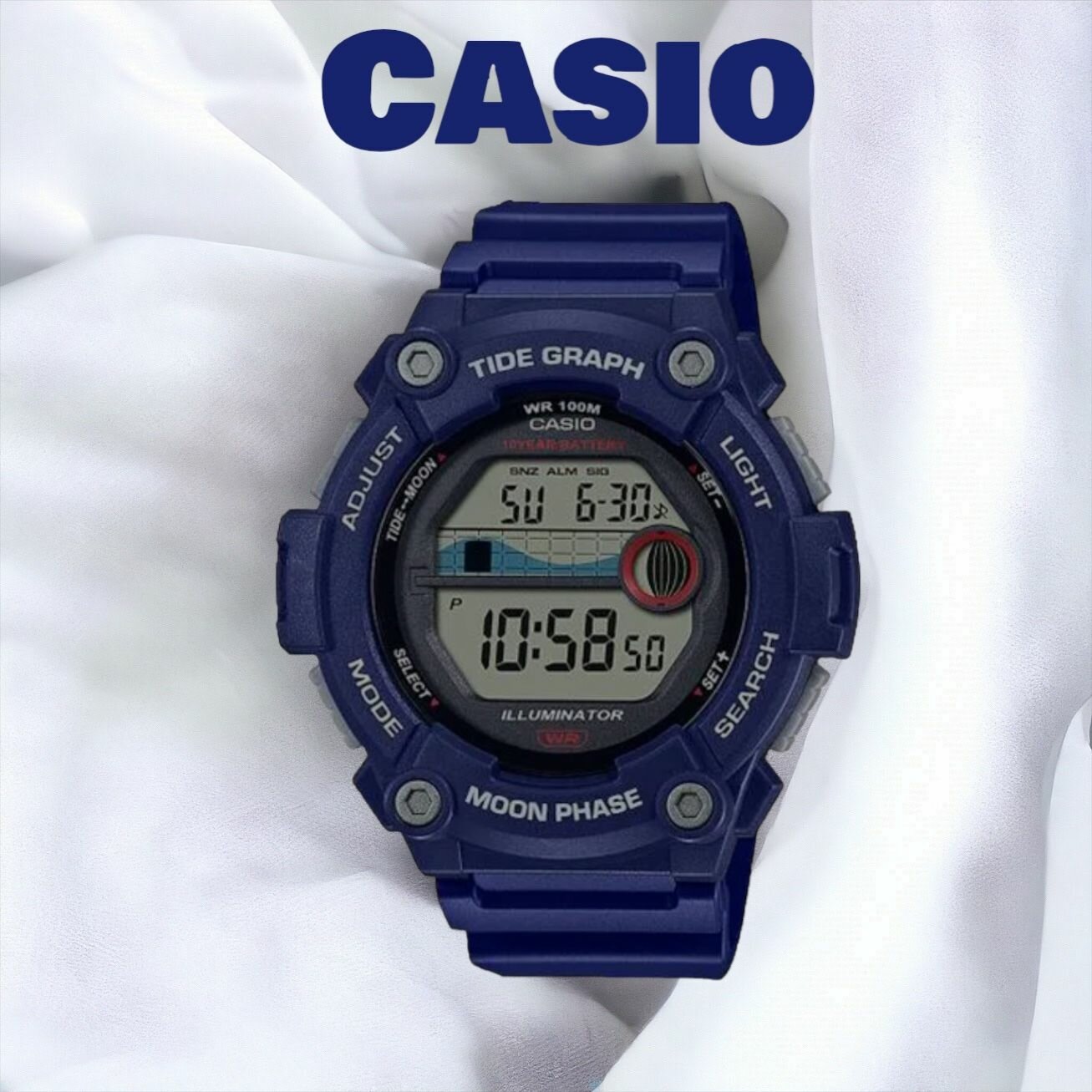 Наручные часы CASIO WS-1300H-2A