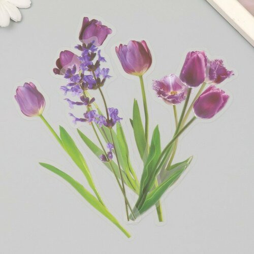 Наклейки пластик Цветы и цитаты Сиреневые набор 12 шт 85х215х02 см 598₽