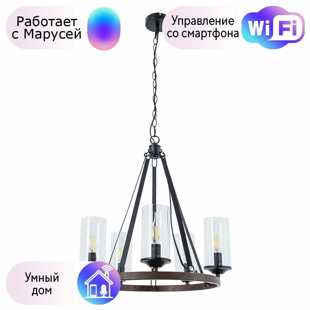 Подвесная люстра Arte Lamp Dalim с поддержкой Маруся A7014SP-5BK-М - фото №1