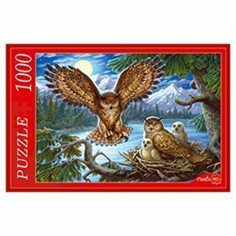 Пазл Рыжий кот 1000 деталей: Совы — фото 1