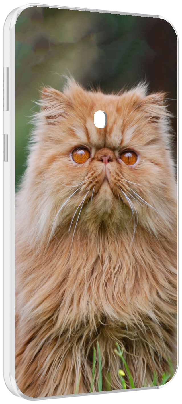 Чехол MyPads кошка персидская для Meizu 16 Plus / 16th Plus задняя-панель-накладка-бампер