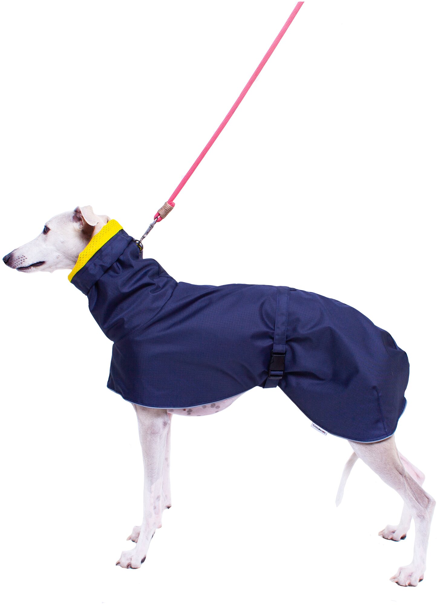 Дождевик для собак породы Левретка, цвет: синий, желтый, размер S3 .Дождевик для бесхвостых собак и с низкоопущенным хвостом - фотография № 2