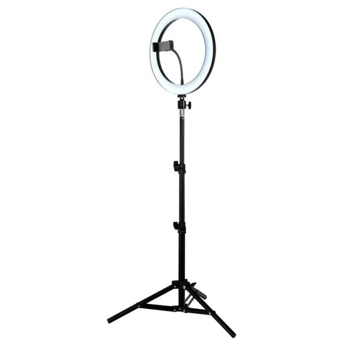 фото Кольцевая лампа momax stand with light kit (fill rgb light) - tr9fl3ad