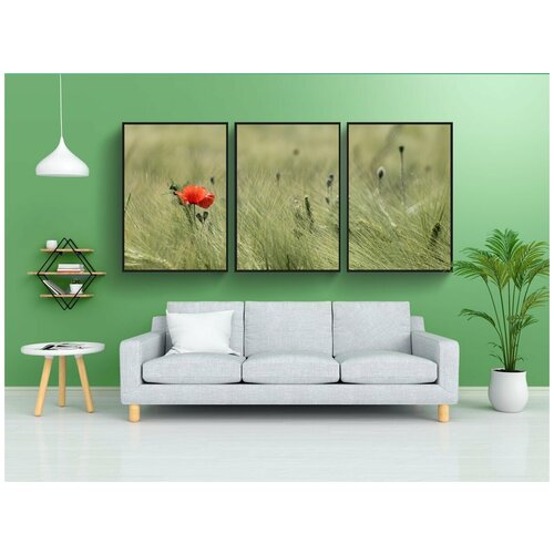 фото Набор модулных постеров для интерьера "луг, поле, пшеница" 60x90 см. в тубусе, без рамки lotsprints