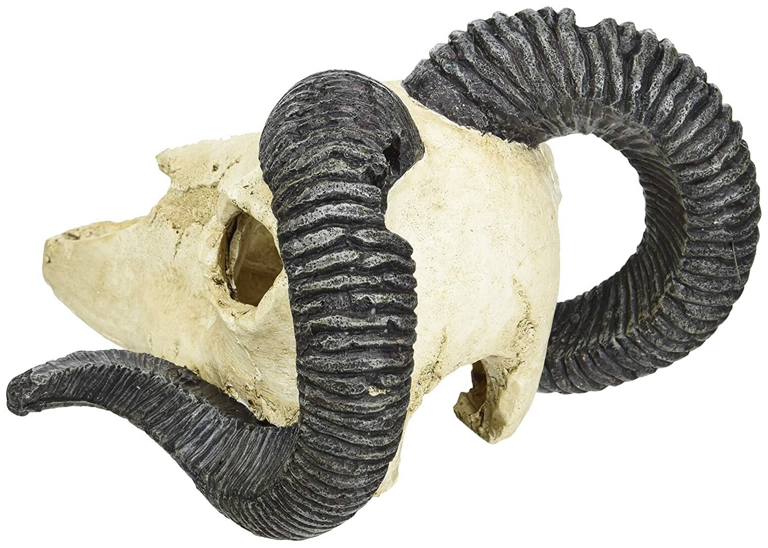 LUCKY REPTILE Декорация для террариума, череп "Skull Ram", 19.5х7х12см (Германия) - фото №2