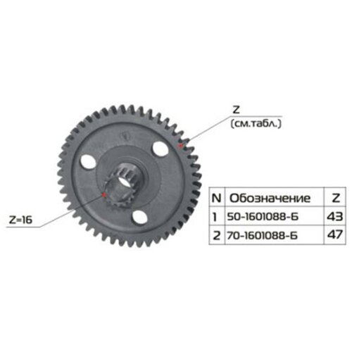 Шестерня МТЗ сцепления Z=47 РУП МЗШ 70-1601088-Б