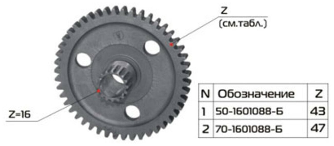 Шестерня МТЗ сцепления Z=47 РУП МЗШ 70-1601088-Б