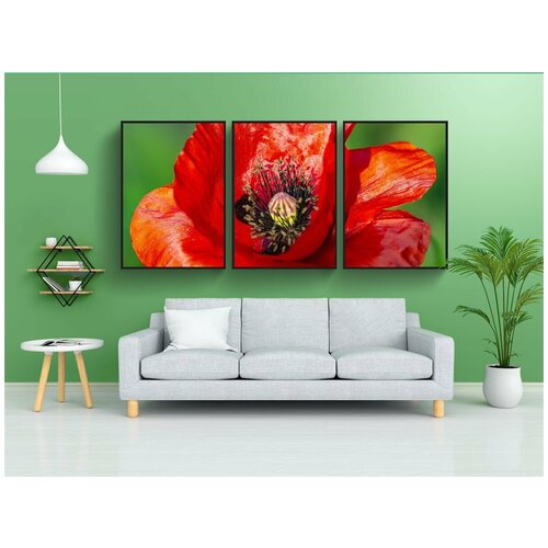 фото Набор модулных постеров для интерьера "цветок, мак, макрос" 60x90 см. в тубусе, без рамки lotsprints