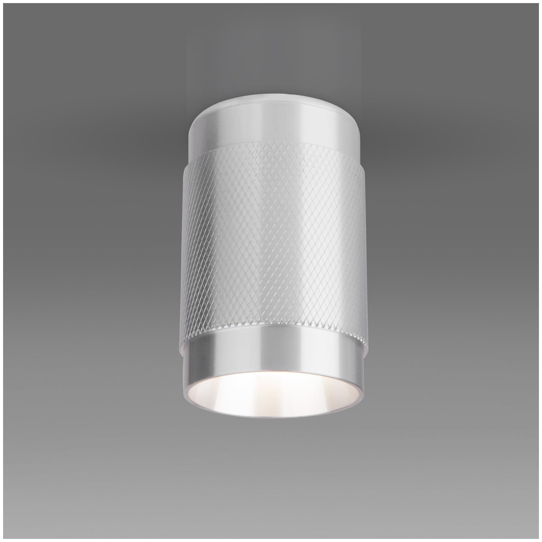 Спот / Накладной потолочный светильник Elektrostandard Tony DLN109 GU10, цвет серебро