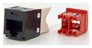 модуль информационный Panduit, Mini-Com RJ45, cat.5e - фото №1