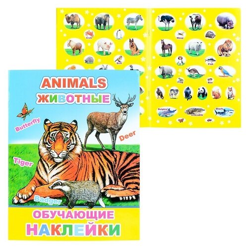 Книжка с картинками. Animals животные 0+